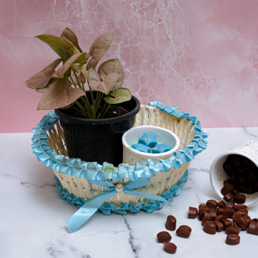 Combos- Plant, Coffee Flavor Soy Wax Melts and Candle