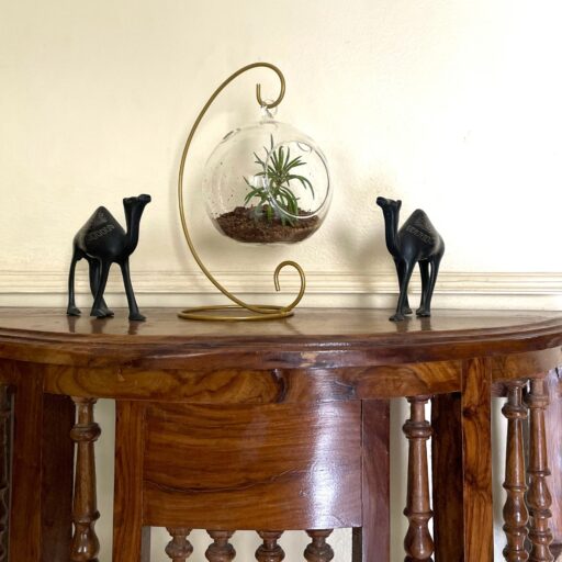 Terrarium Glass Stand