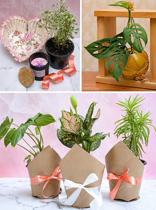 Festive-gift