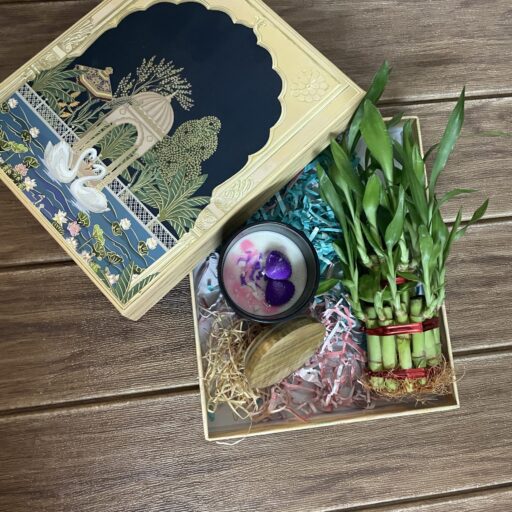 Lucky Bamboo Serenity Box – Plant Gift Box With Aromatic Candle
