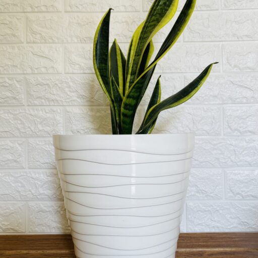 Elegant White Large Size Pot