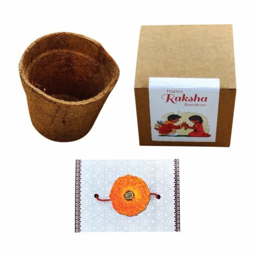 Plantable Seed Rakhi – With Grow Kit (Calendula Seeds)