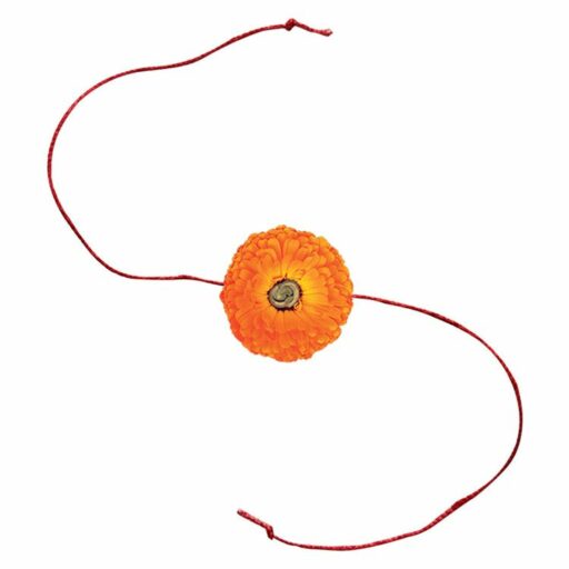Plantable Seed Rakhi – With Grow Kit (Calendula Seeds)